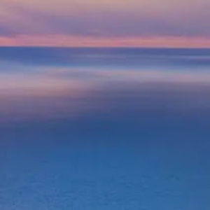 Meet your Posher, Henry